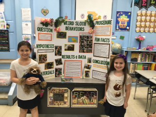 stclaresi's tweet image. #scslearningfun #scsscience