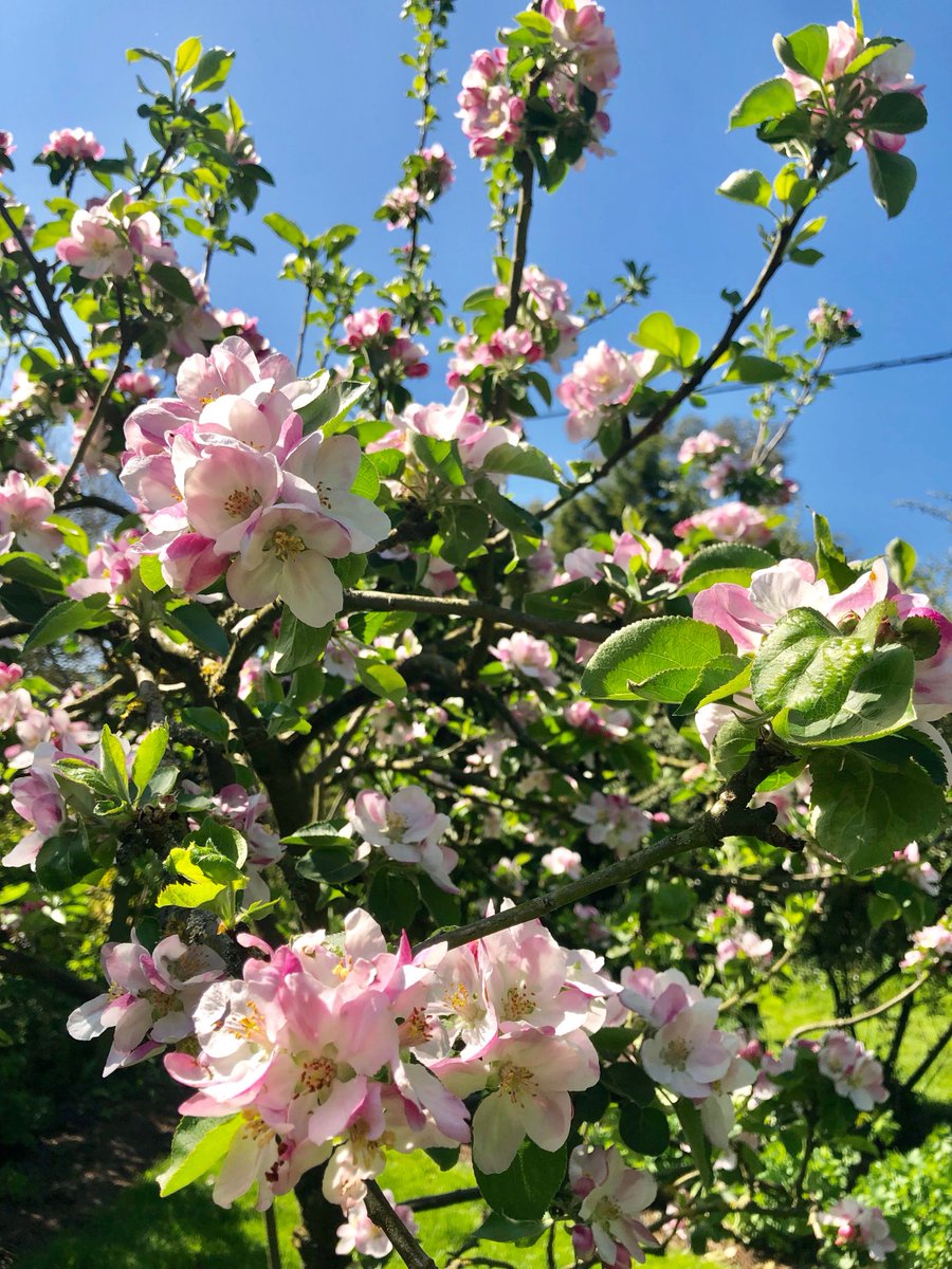 Hope everybody had a beautiful warm long bank holiday weekend! We are planning for Friday where 2 of the team will be at the <a href="/ELA_forum/">Eastern Landlords Association</a> expo and another will be visiting some of our favourite clients!