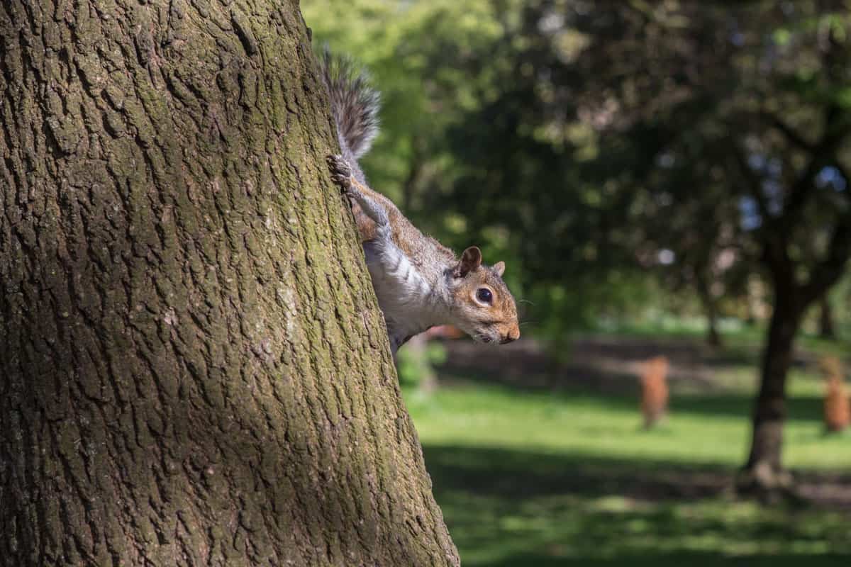 Boost wellbeing and reduce stress on Thurs 17th May by joining our peer-led discovery walk to mark Mental Health Awareness Week 2018. Contact Lorena or Chloe on 01273 929471 or wellbeing@bht.org.uk to book a space #MHAW18