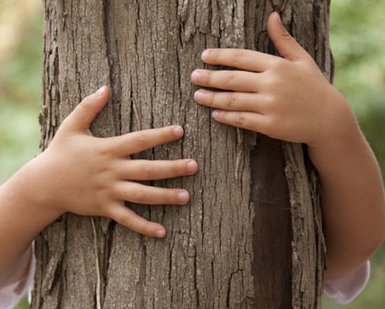 "No one will protect what they do not first care about" Happy Birthday to #SirDavidAttenborough