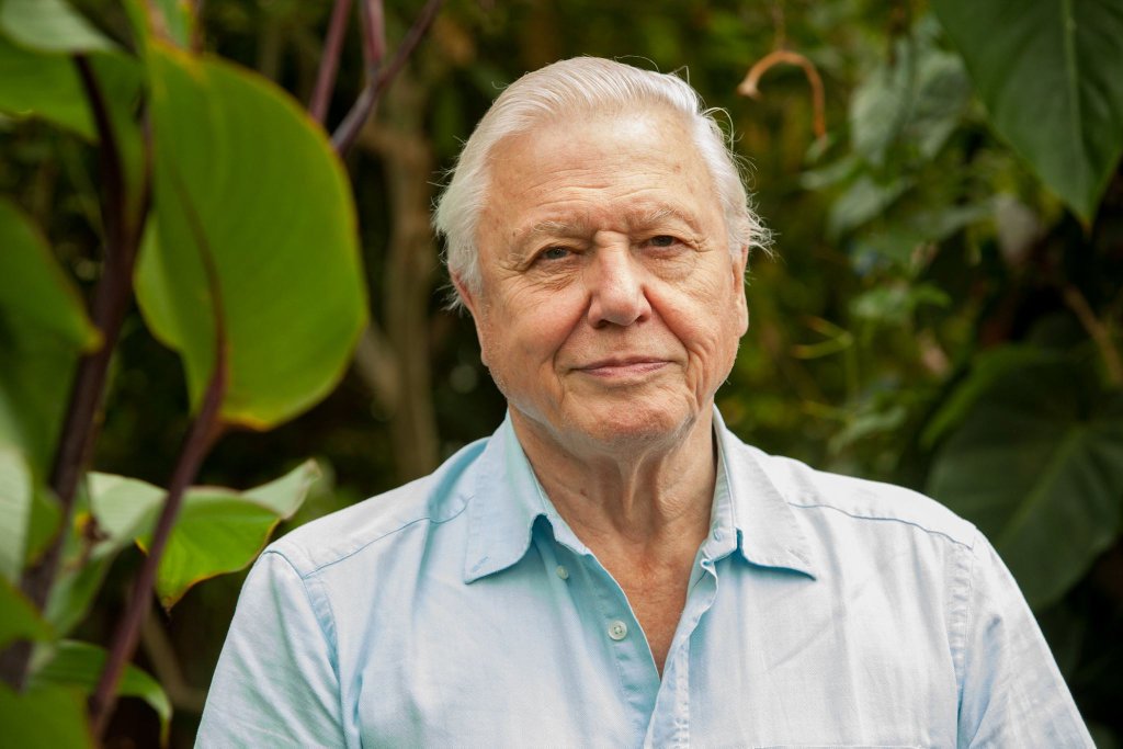 DrewCooper_Wild's tweet image. Happy 92nd Birthday to one of the most inspirational and passionate human beings on earth, Sir David Attenborough.