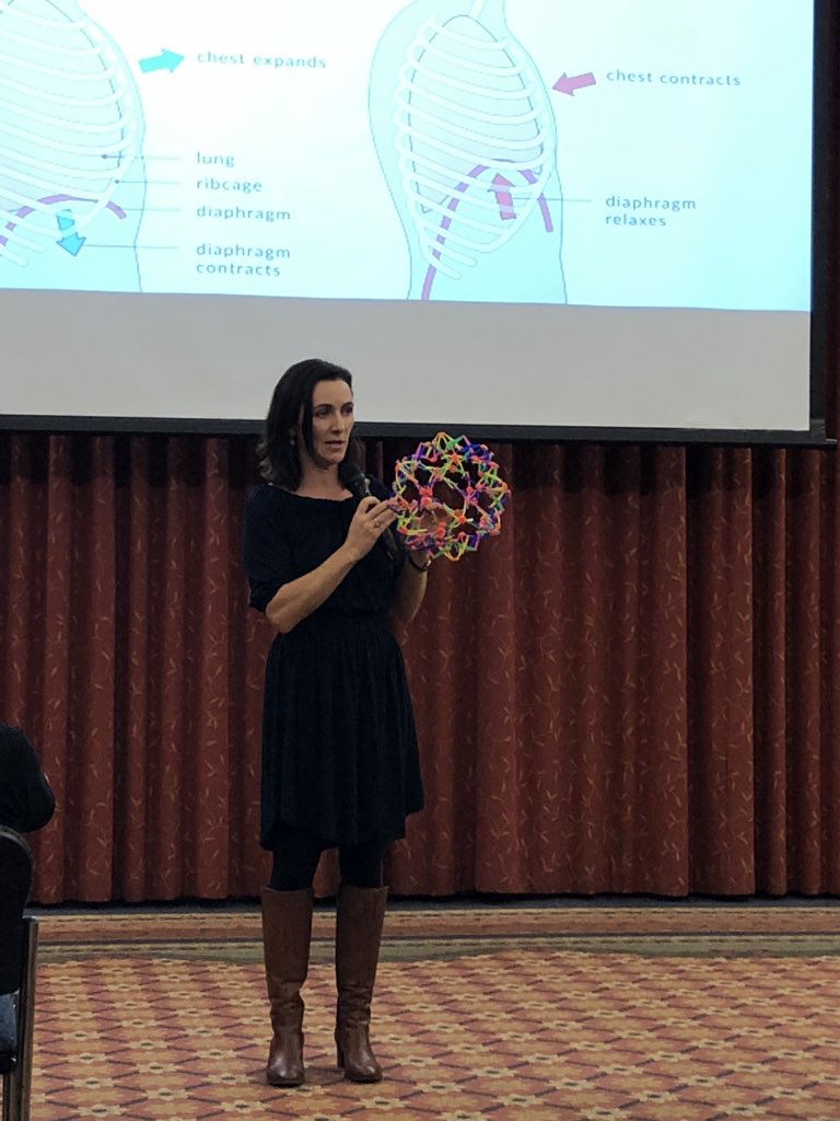 TheBreathEffect's tweet image. Feeling very grateful to be part of the #moveovercancer fundraiser in invercargill.