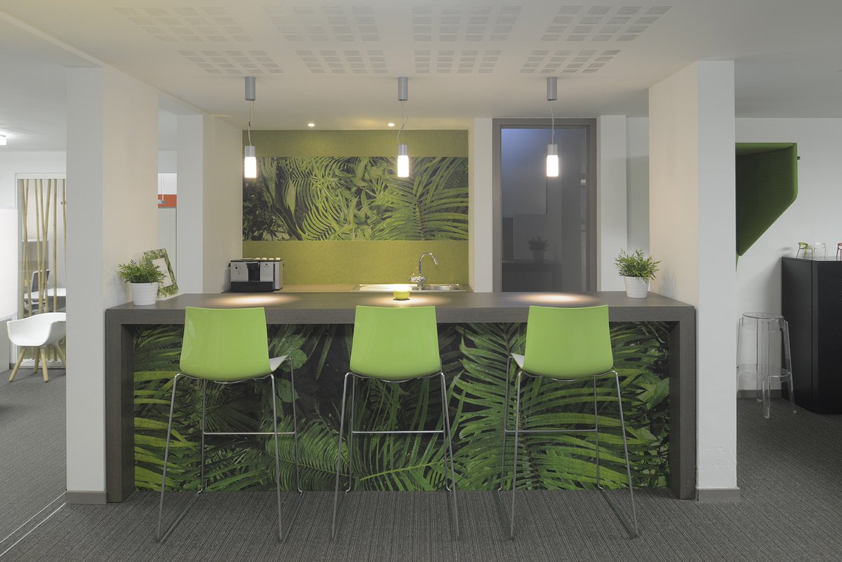 Discover our new "Jungle Mood" show-room #Jungle #junglemood #workspace