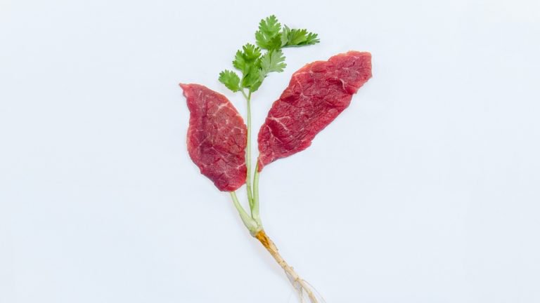 Kattenkopjes's tweet photo. A 3D technology to make clean beef...
https://t.co/1GKnq9IuQX
#cleanbeef #cleanmeat #beef #food #future #startup #Israël #innovation https://t.co/bKDjZrfV6M