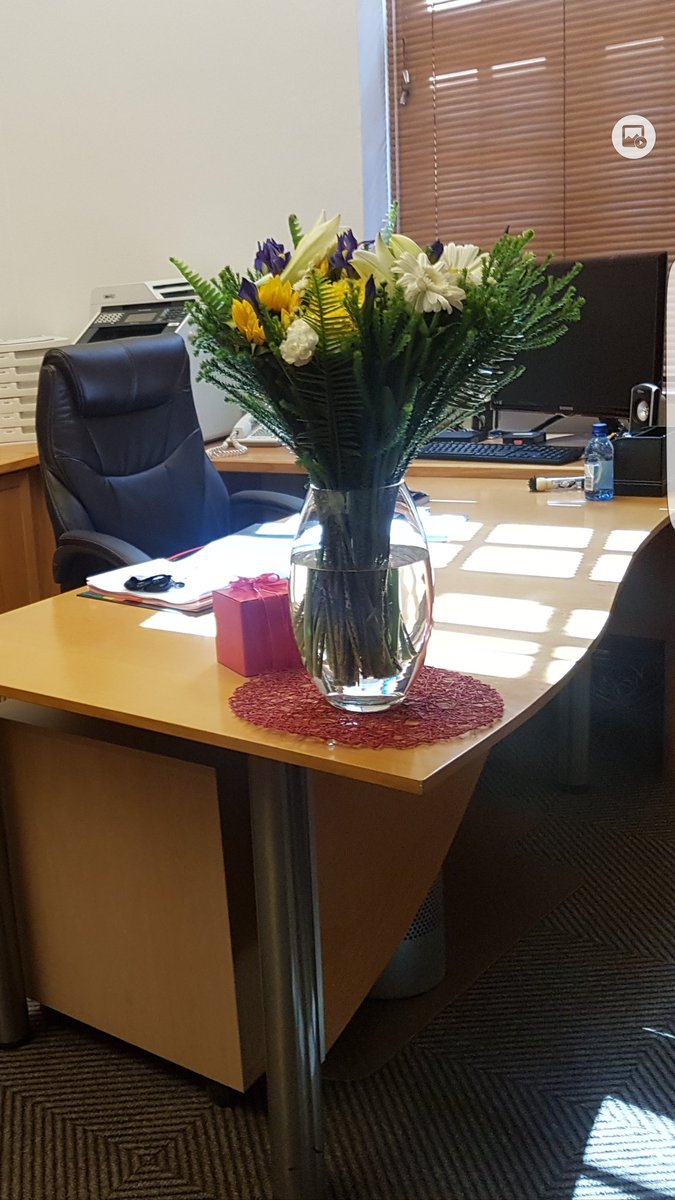 LenkaBula tweet media