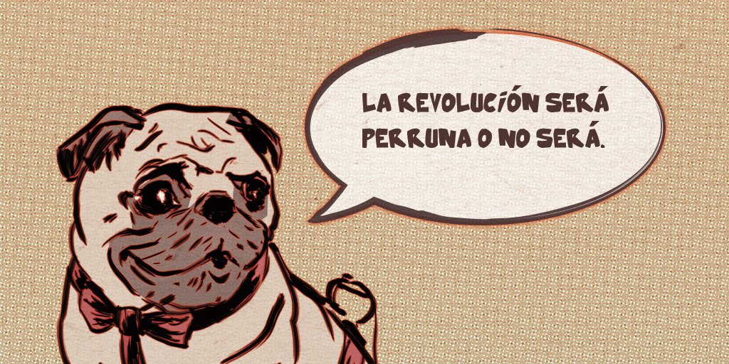 Splash Squad (@perretesmeones) on Twitter photo 