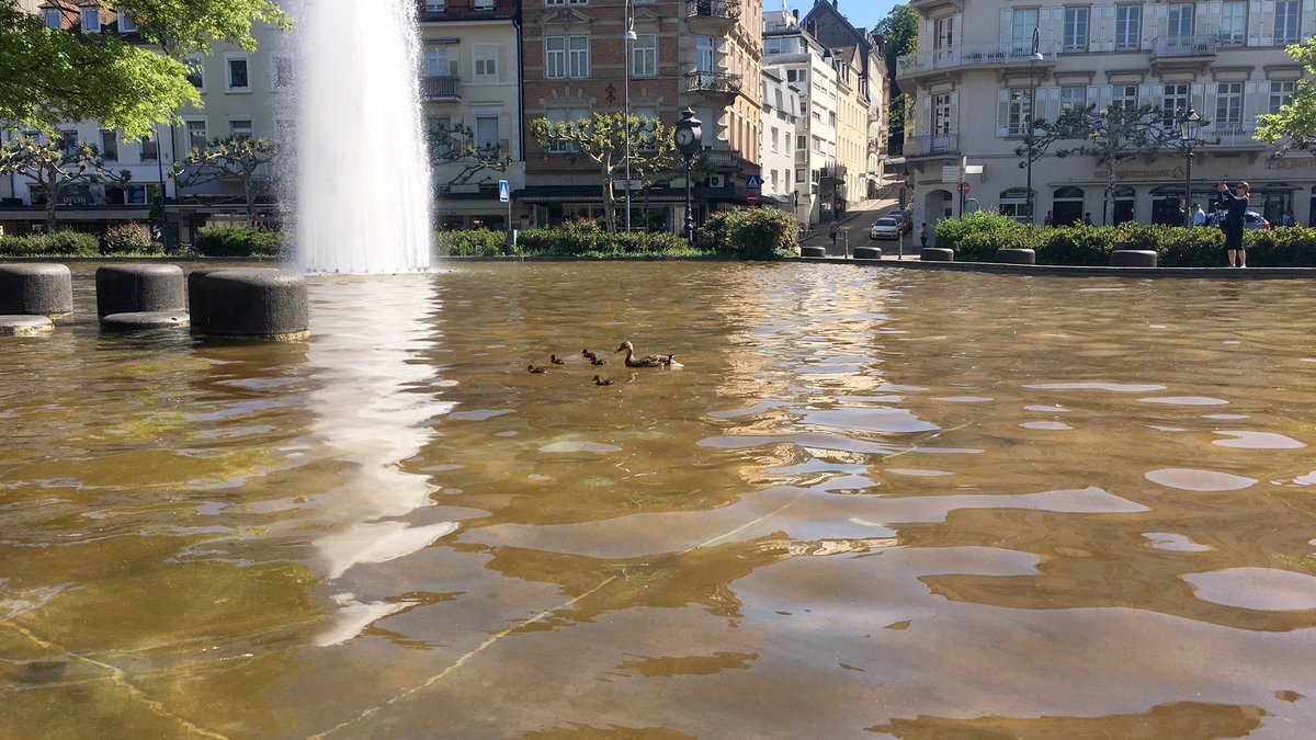 Entenbaden Hashtag On Twitter