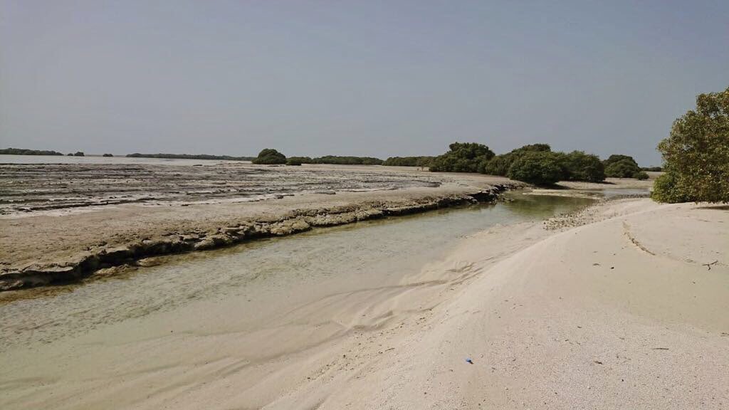 AGDAUAE's tweet photo. Thank you @EADTweets for showing us #BuTinah Island, a part of the Marawah Marine Biosphere Reserve. The visit provided us with context-specific opportunities to combine scientific knowledge & governance modalities to reduce #biodiversity loss & enhance #sustainability. https://t.co/AtQ4SbQYzB