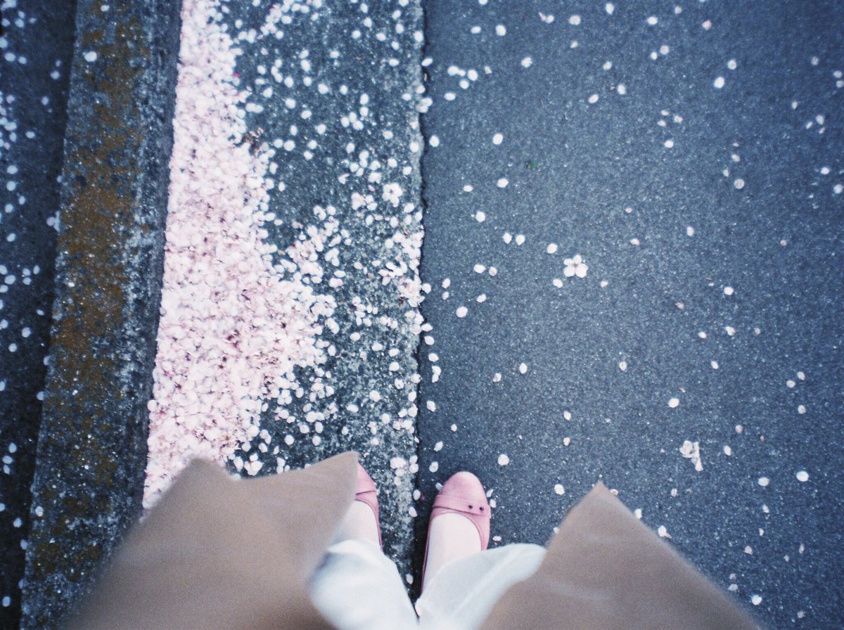 and_yucca's tweet photo. 春はピンク色 もう何年愛用しているのか思い出せない靴を今年も色んな所で履いている https://t.co/uUuqcIv1BP