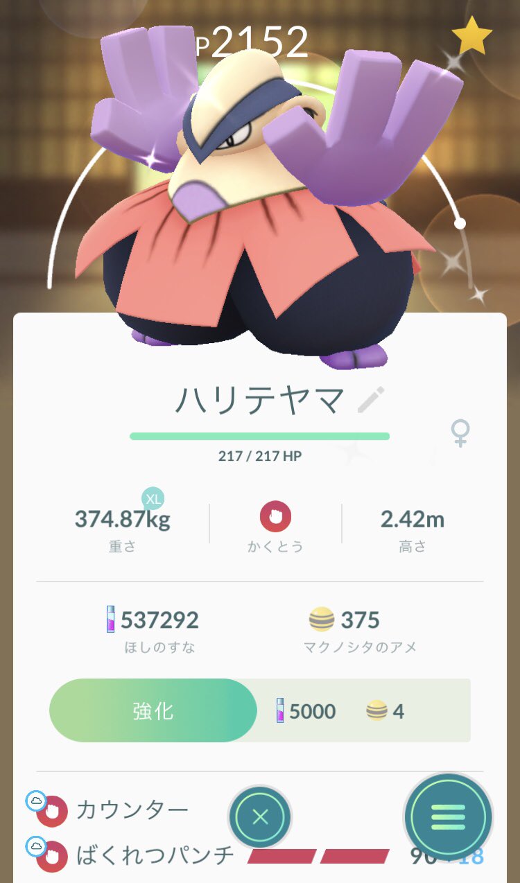 ティティ ポケモンガチ女子 Titi Pokemon Twitter