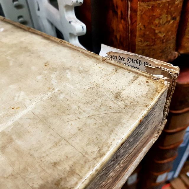 jordan_library's tweet photo. Published in 1694, the upper edge of the spine on this vellum binding has been damaged, but it allows us to see the binder's waste that was used as filling.
[Bacon, Francis. Francisci Baconi opera omnia, Leipzig, 1694]
#francisbacon #17thcentury #rareboo… https://t.co/PVLngjB6YT https://t.co/r4CObC3zdf