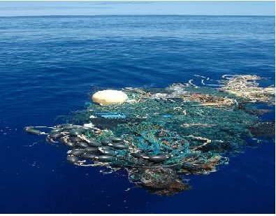 " #Marine #plastics - are we responsible for it because we produce it? No. Litter is a huge issue. How do we work with the countries that represent over 50 per cent of marine debris and how do we stop it?” <a href="/bcarteaux/">Bill Carteaux</a> of <a href="/plastics_us/">PLASTICS (Plastics Industry Association)</a>
#NPE2018