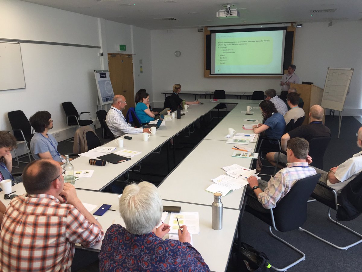 cobwebdr's tweet image. Another good session of tree health training led by @YorksArboretum with @FeraScience @rdiuk specialists focused on #biosecurity #resilience funded by @bizinspiredgrow @CalderdaleCol @ArbAssociation @TheICF @TreeHealthNews @royal_forestry