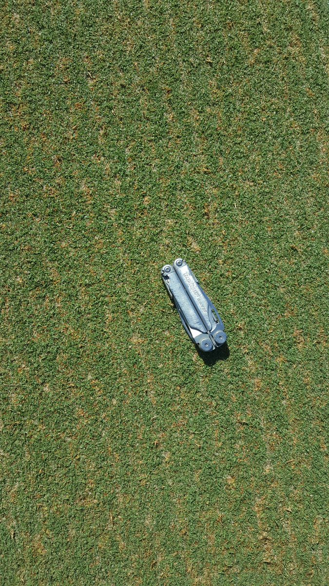 OHCCgcm's tweet photo. After 7 days of cultural practices greens are looking good. https://t.co/OhsIa24khr