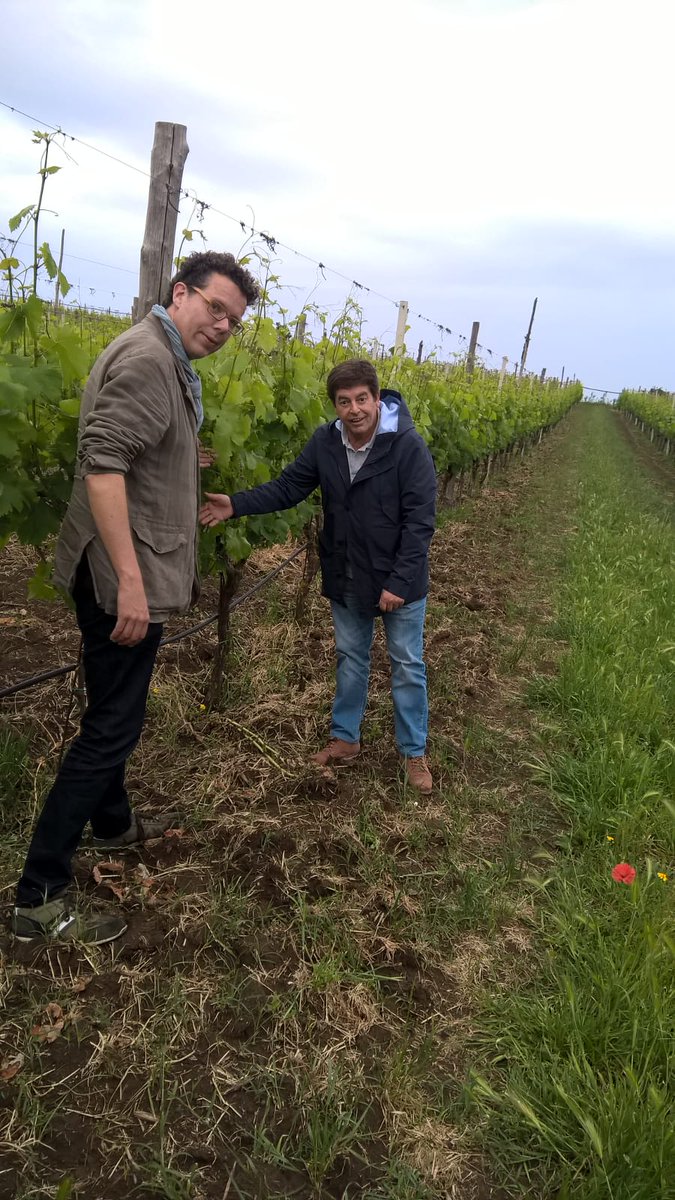 cantinefarro's tweet photo. E' stato un immenso piacere ricevere la visita del nostro cliente amico olandese Robert Heida

#vieniatrovarci #campiflegrei #vino #falanghina #piedirosso #vini  #rosato #vinideicampiflegrei #bacoli #perepalummo #farro #cantinefarro #terradelmito #cantineflegree  #vigneto #Export https://t.co/MyfRg6TOgi