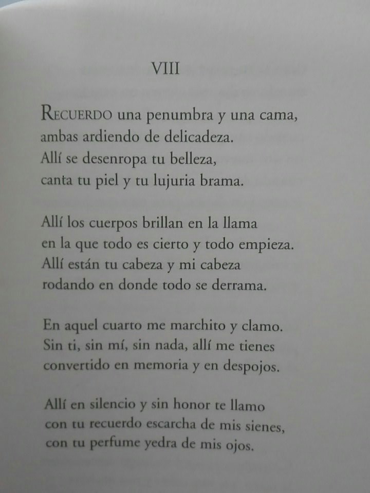 VctorMMuoz's tweet photo. Siempre se acaba volviendo al soneto. Y a Félix de Azúa. https://t.co/fUOhib1s4s