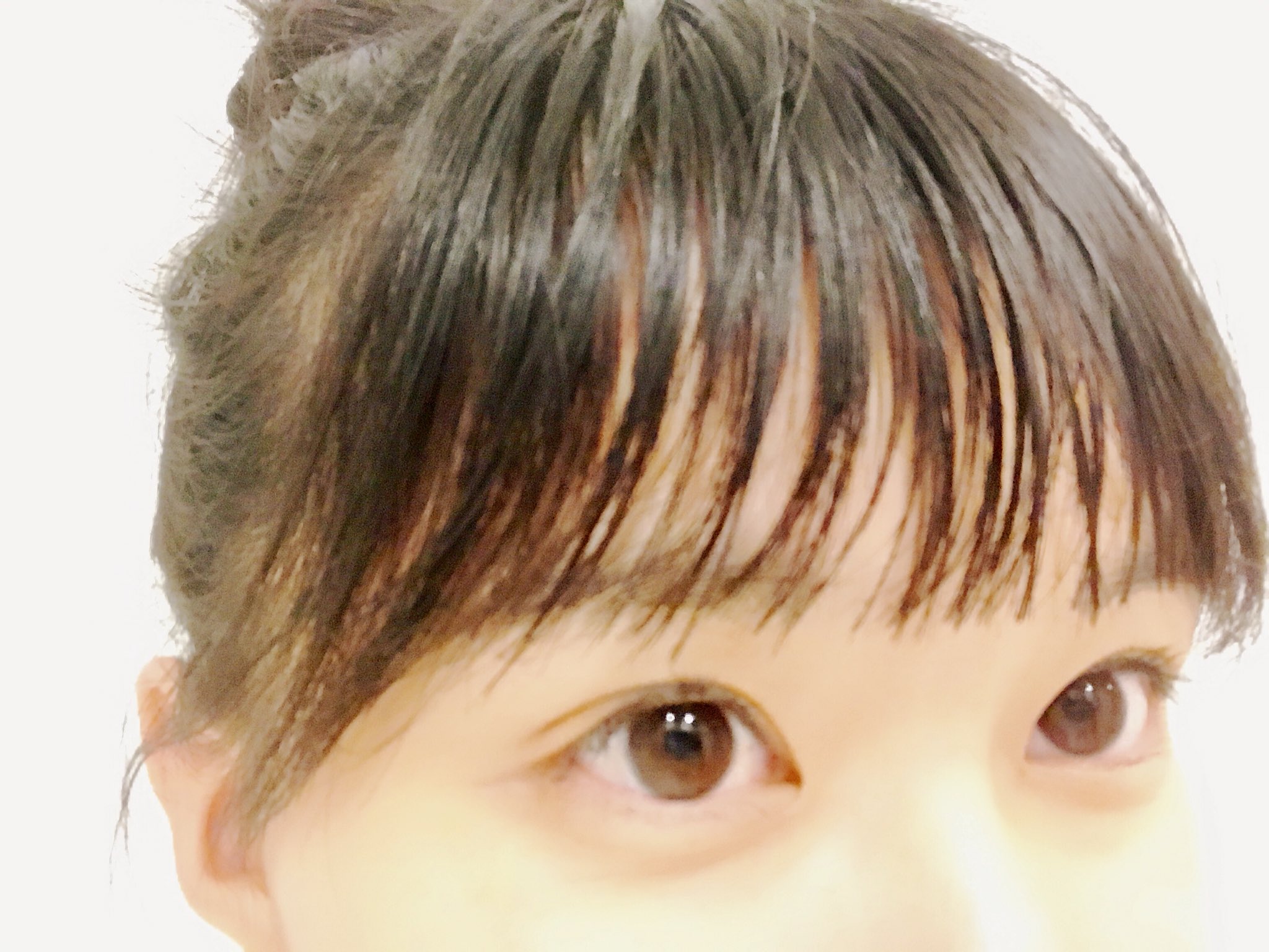 芳根京子 Staff 久しぶりに榎本さんに 前髪切ってもらいました 伸びるの早いから 思い切って眉くらいまで あー 視界広い 最高 きっと来週には伸びちゃってるんだろうなぁ ぷー せっかくだからお休みの日はちゃんとセットしてお