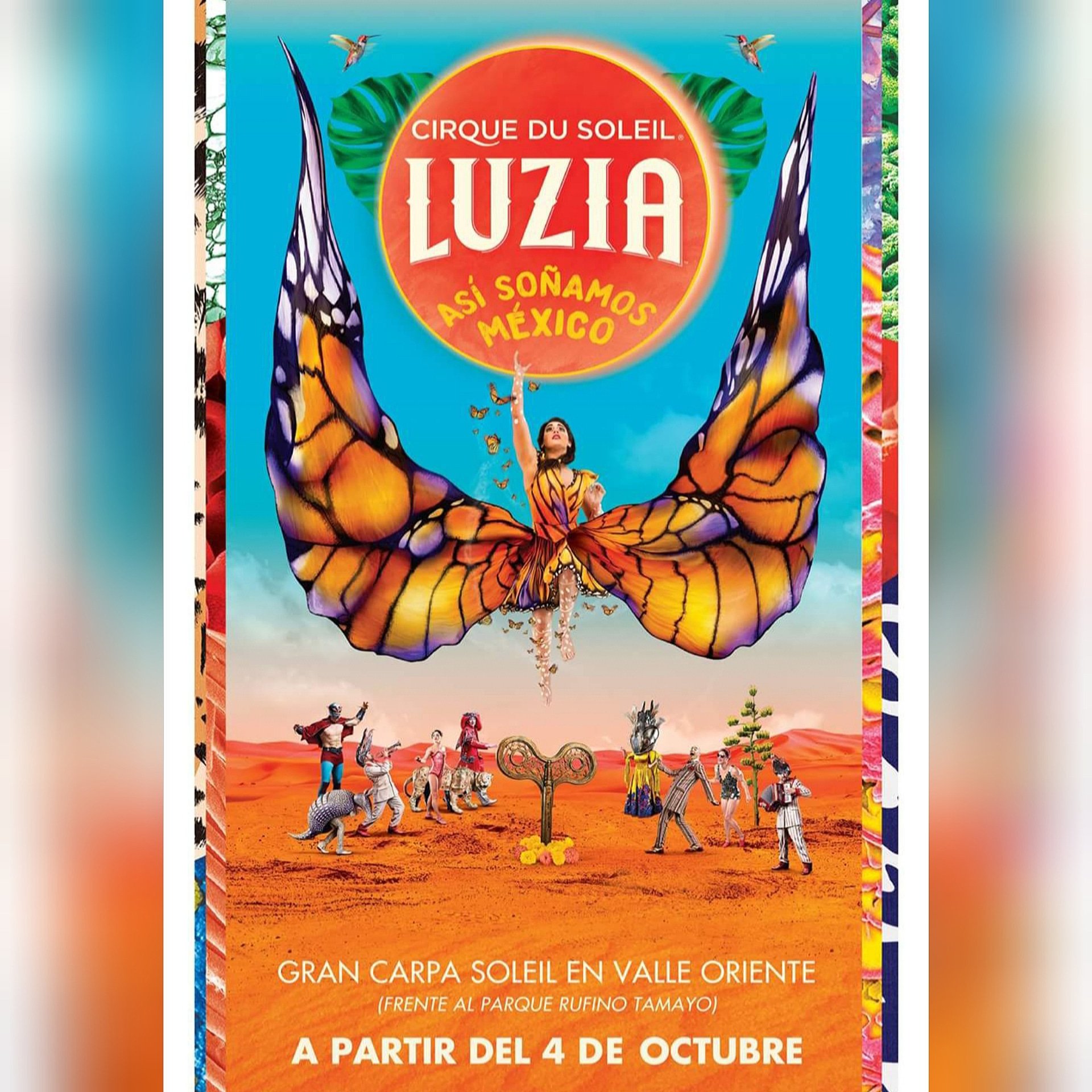 NightLife Monterrey® on Twitter: "🦋 LUZIA by Cirque du Soleil en