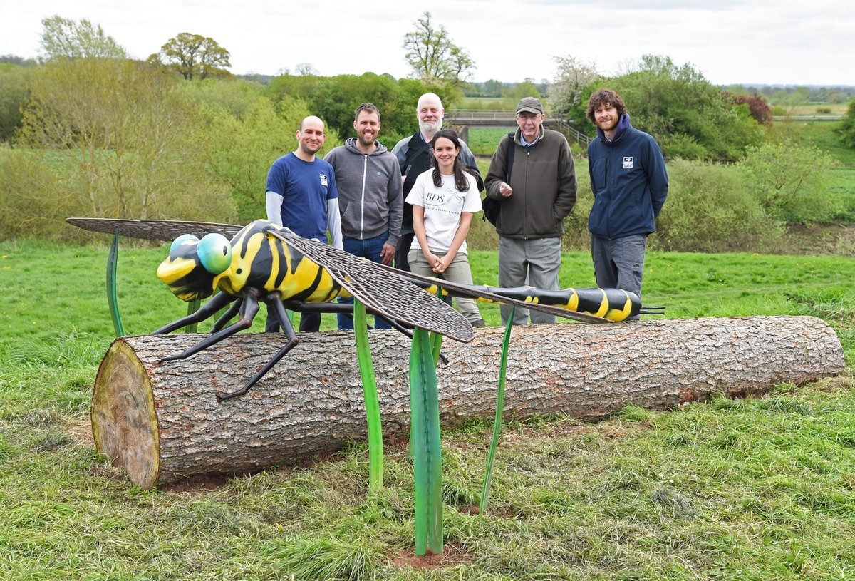 wieproject's tweet photo. If you go down to the River Dee at Holt today you're sure of a big surprise! We've installed a huge steel sculpture depicting the rare Clubtail Dragonfly at Holt Castle Park @wrexhamcbc Look for this amazing species over next few weeks @BDSdragonflies @RamsarConv #ClubtailCount https://t.co/ss1jwIUTwm