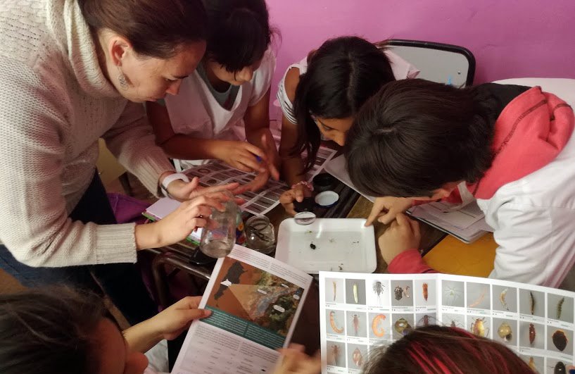 unrnvalle's tweet photo. Estudiantes y docentes de la #UNRN10años, junto a alumnos de escuelas primarias, estudiaron 🔎 la calidad del agua del #ArroyoValcheta

✅Se busca propiciar la participación ciudadana en el biomonitoreo de la calidad del agua💧

 🔻Enterate más 👉https://t.co/SZ393s1sYO https://t.co/LCLubCWt4p