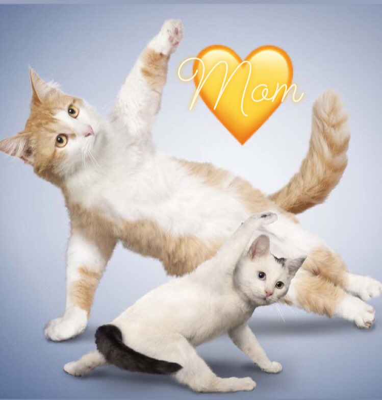 CatcanCol's tweet photo. Prepárate para celebrar el día de la Madre con nosotros 💗 si todavía no conoces CatCan, visita nuestra página web https://t.co/nyLii2LfDK y conoce nuestros productos 💗🔜 #momsday https://t.co/Ia4ZmARhFZ