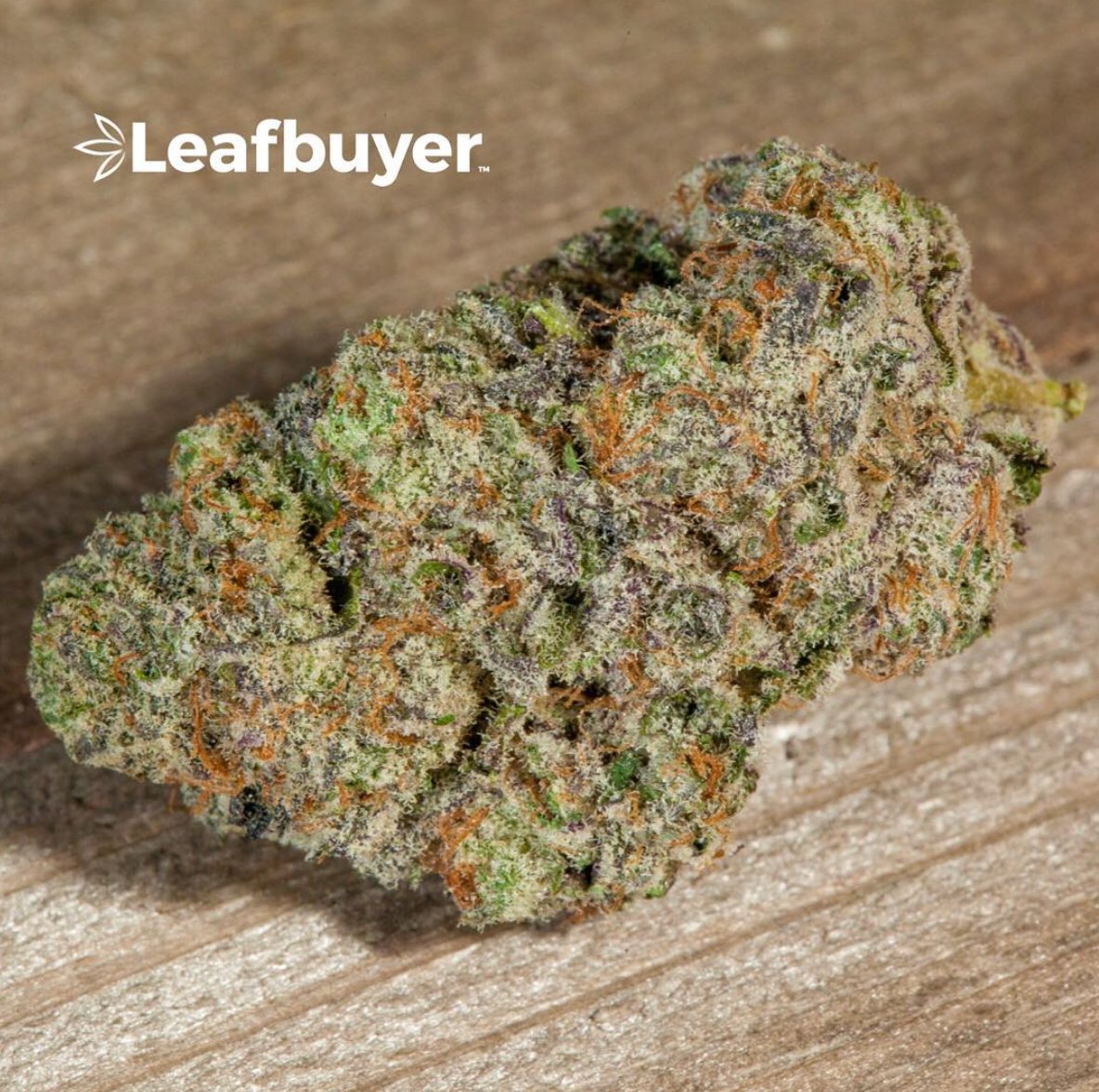 ❤️ If You’d Smoke This 🍃Kimbo Kush by @GrantPharmsMMC 
Strains: buff.ly/2usnCG4
#TuesdayMotivation #TuesdayThoughts  #maryjane #marijuanacommunity #medicalmarijuana #joint  #nug  #dispensary #smoke #stoner #420life #thc #mmj #dispensary #leafbuyer #weedporn
