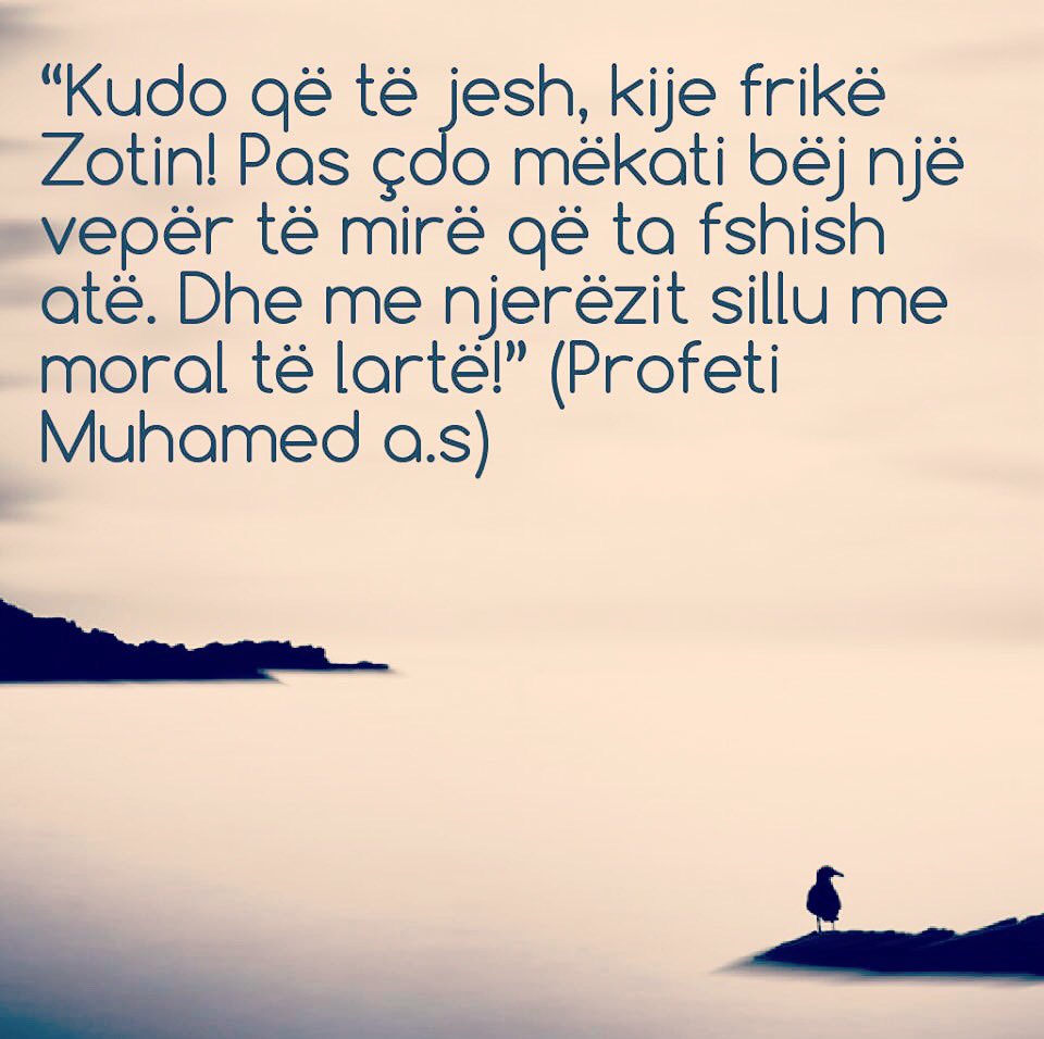 islami_al_'s tweet photo. #hadith #hadithiprofetik #thënieprofetike #perlaprofetike #hadithiditës #hadithoftheday #profetimuhamed #muhamedi (alejhi selam) #maj https://t.co/uwJ9yudD1h
