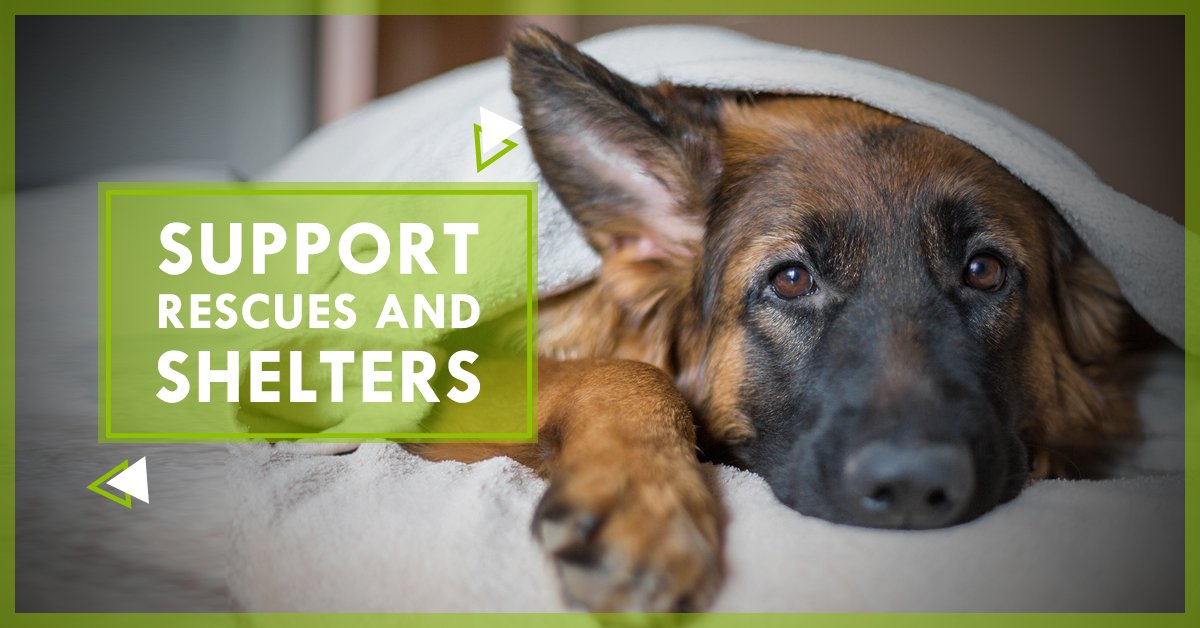 Celebrate_PAWS's tweet photo. Purchasing one of our flags raises much-needed funds for the homeless PAWS at shelters and rescues. 
Plus, they help even after you get them as they raise awareness just by being flown!
https://t.co/Xd15x75CcQ

#CelebrationOfPAWS #JoinTheMovement #RaiseYourVoice https://t.co/Pf3Zrv8e4E