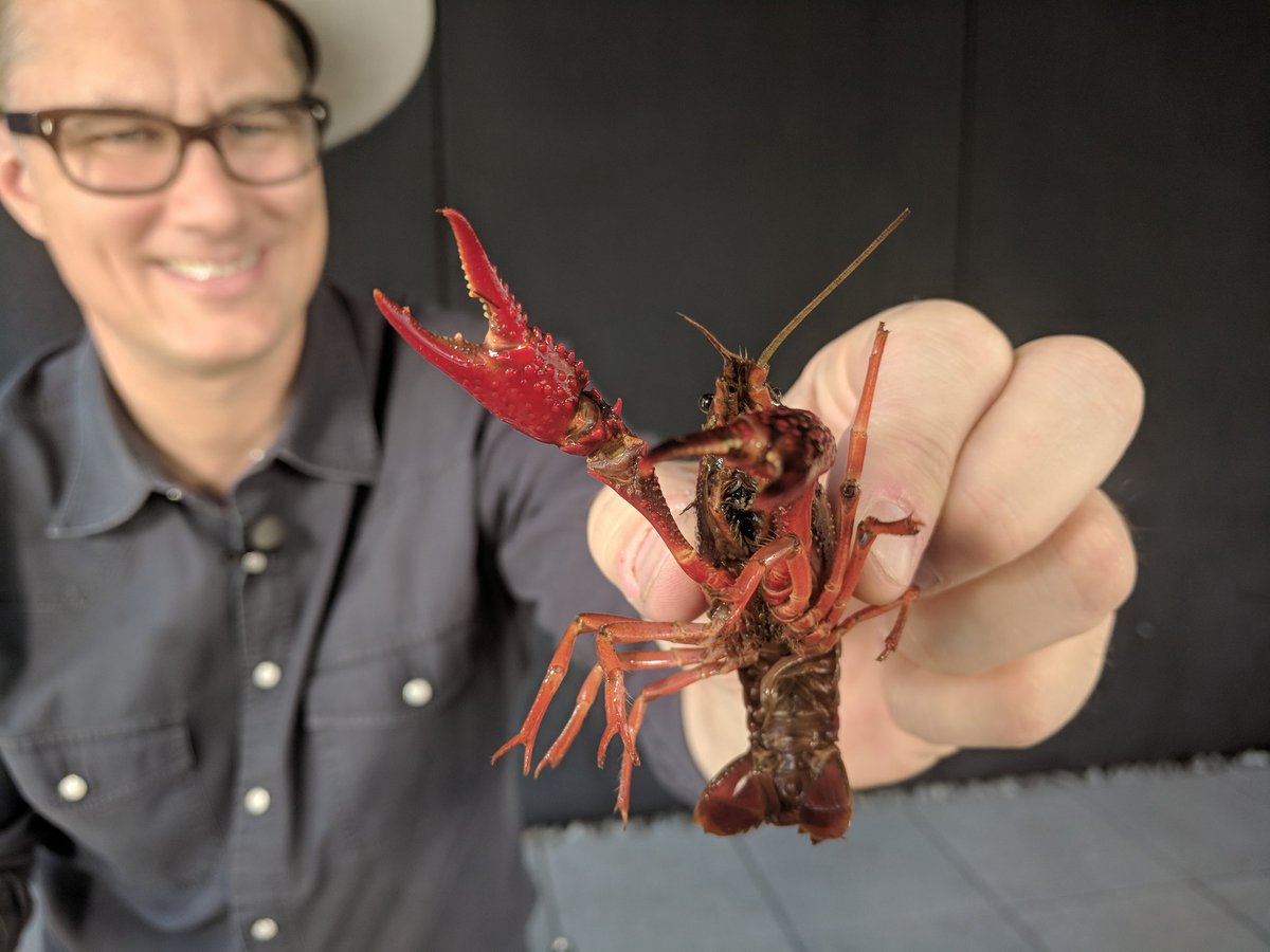 cgtnamerica's tweet photo. It takes a village to shoot a crawfish segment. Stay tuned. @jimspellmanTV @audreysiek @AndrewSmith810 @isbelladiaz Kuba Wuls https://t.co/Zh4ZlknykH
