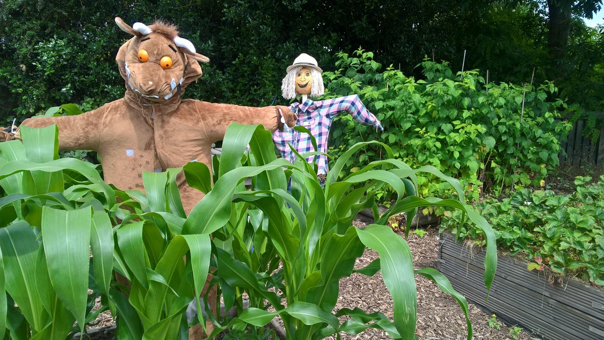 The Best School Grounds Competition sponsored by Fast Graphics is now open! We have a special category for our feathered friends this year, to celebrate the Hoodwinked sculpture trail.   Closing date for entries is 9 June 2018. goo.gl/NNsEvX