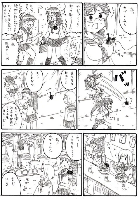 カブトムシ