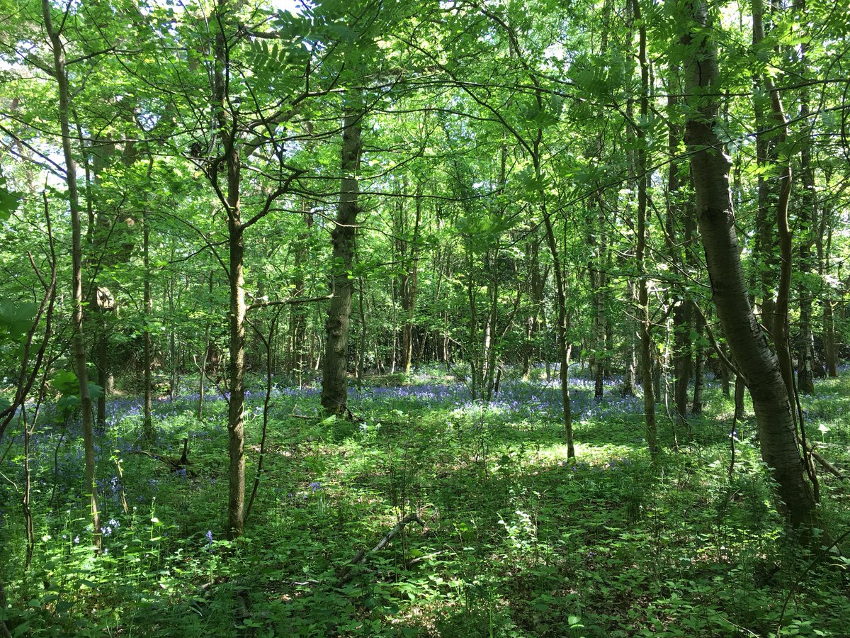 Charlotte Dover tweet media