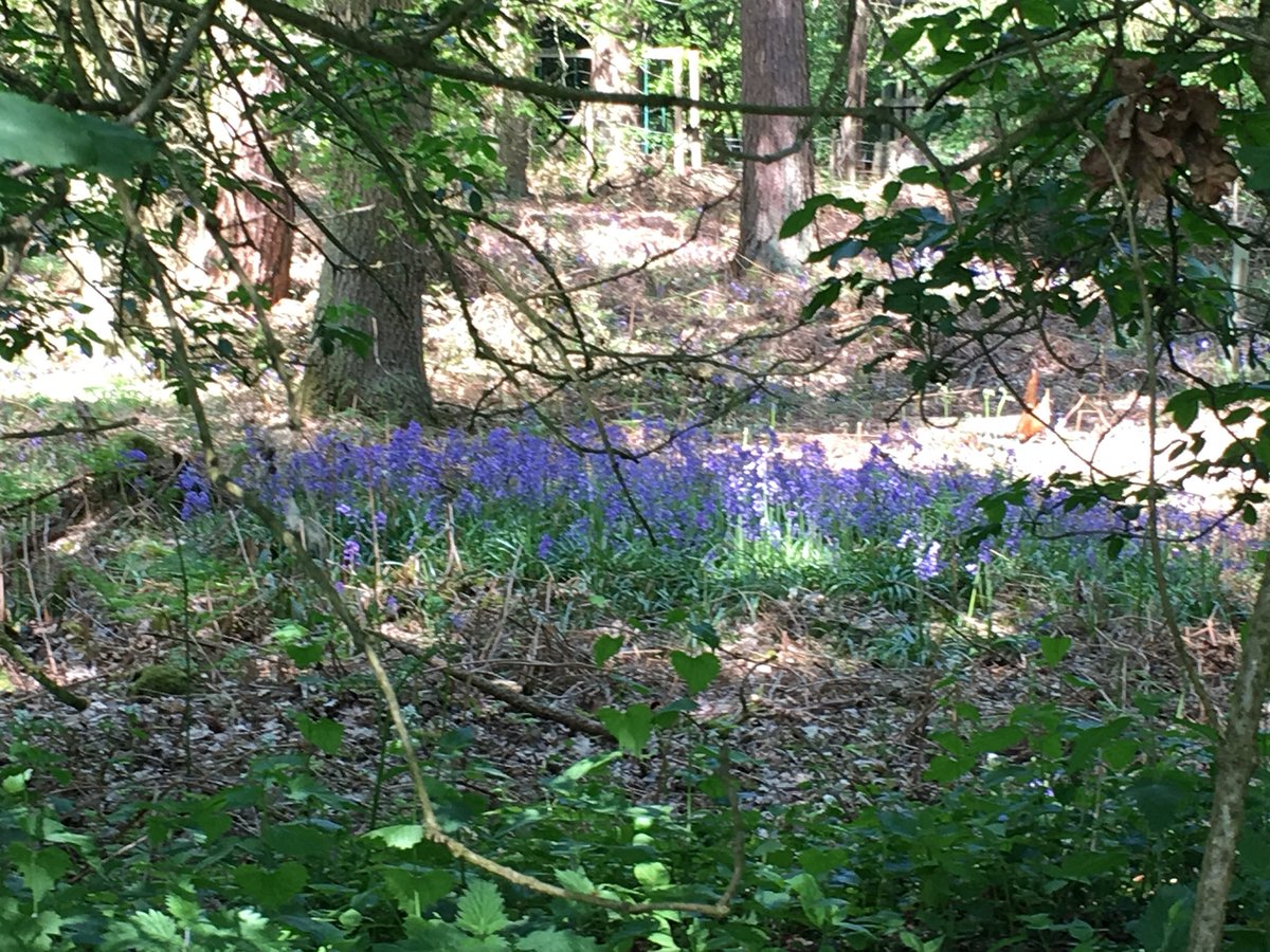 Charlotte Dover tweet media