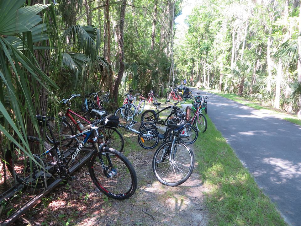 It’s Trail Tuesday! Take a trip to Dunnellon Trail! This trailhead offers beautiful views from the Withlacoochee River trail bridge. You can enjoy the sights of wading birds, unique wildlife, and even alligators! 
bit.ly/2uCzYGr