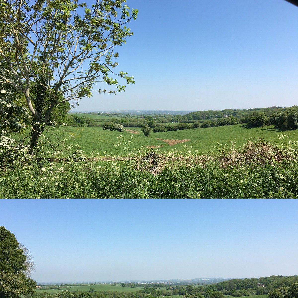 Charlotte Dover tweet media