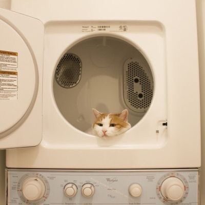 cutiekimjr's tweet photo. 🐱

#뉴이스트 #뉴이스트W #김종현 #쩨알 #JR https://t.co/tyHJAgQPrp