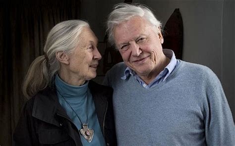 41. David Attenborough has some brilliant friends. Because he is brilliant too. #AttenboroughDay #Attenbirthday