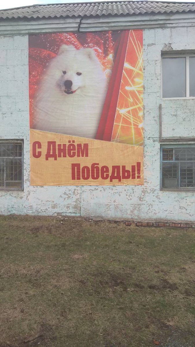 https://pbs.twimg.com/media/DcrJMoPXUAAoRKa.jpg