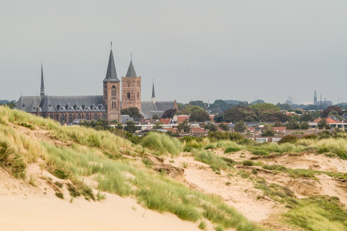 staatsbosbeheer's tweet image. Beetje warm? Groen in en rond de stad zorgt voor verkoeling, het scheelt soms wel 6 graden. Meer weten over wat de natuur te bieden heeft? Kijk op bit.ly/2InfAnI #hittestress  #staatsbosbeheer #hetzitinonzenatuur #natuurlijkkapitaal