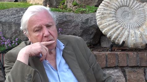 48. David Attenborough thinks some fossils are very large, but David Attenborough never thinks a fossil is too large. #AttenboroughDay #Attenbirthday