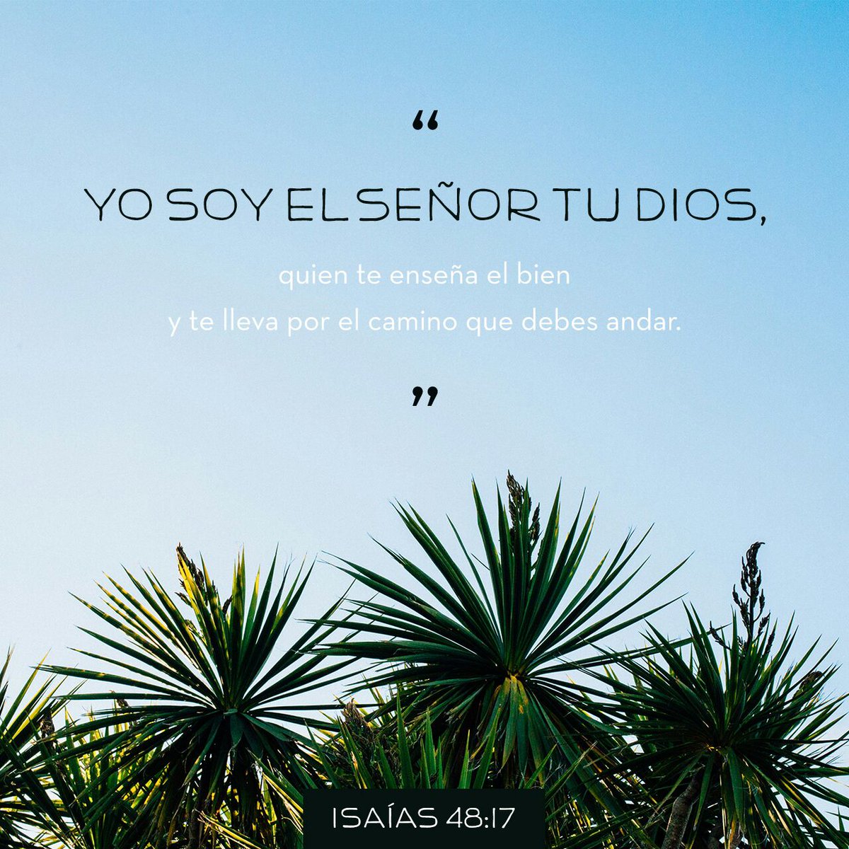 kittyvaldes_08's tweet photo. Así ha dicho Jehová, Redentor tuyo, el Santo de Israel: Yo soy Jehová Dios tuyo, que te enseñ…
https://t.co/HDkxhvOrIj https://t.co/MZzD2QhwQc