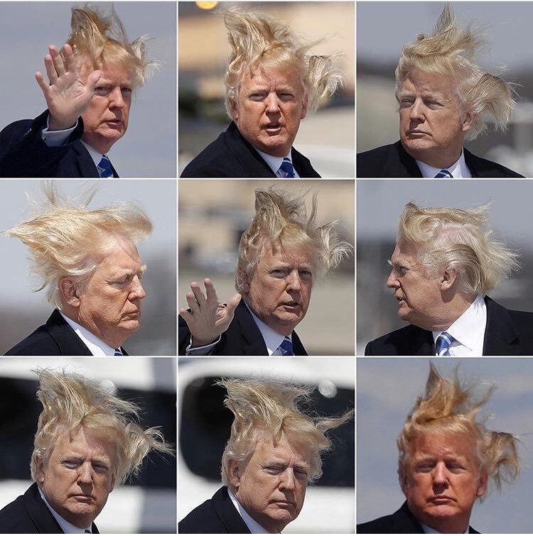 XinDivad's tweet photo. @realDonaldTrump You're just bent because he has better hair than you. #Resist #theResistance #PointlessNarcism #ShaveThatMess #TrumpsBirdNest https://t.co/EoXuXo63A0