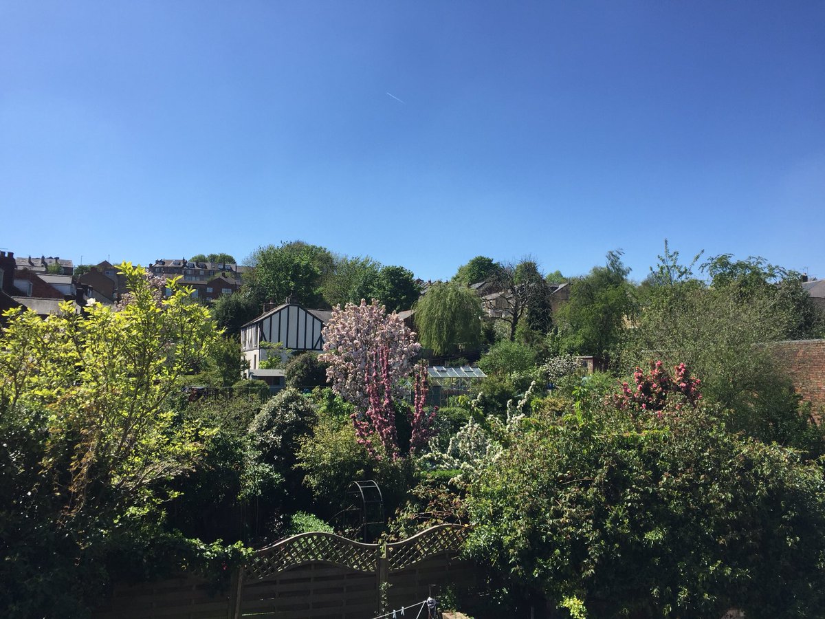sam_bromage's tweet photo. Well there’s definitely worse views to have whilst adding some finishing touches to my #strangecities paper @citiesofstrange @UniShefArch @WRoCAH @OfficialUoM #archaeology #phd #sheffieldinthesun #thegreenestcity https://t.co/UEjCjLoDEd
