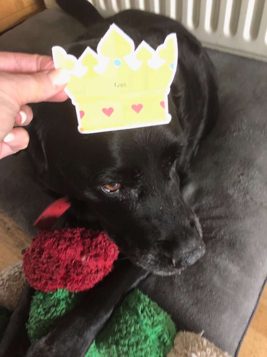 vicky_turner_'s tweet photo. #vipcrown https://t.co/lxUqrndghx