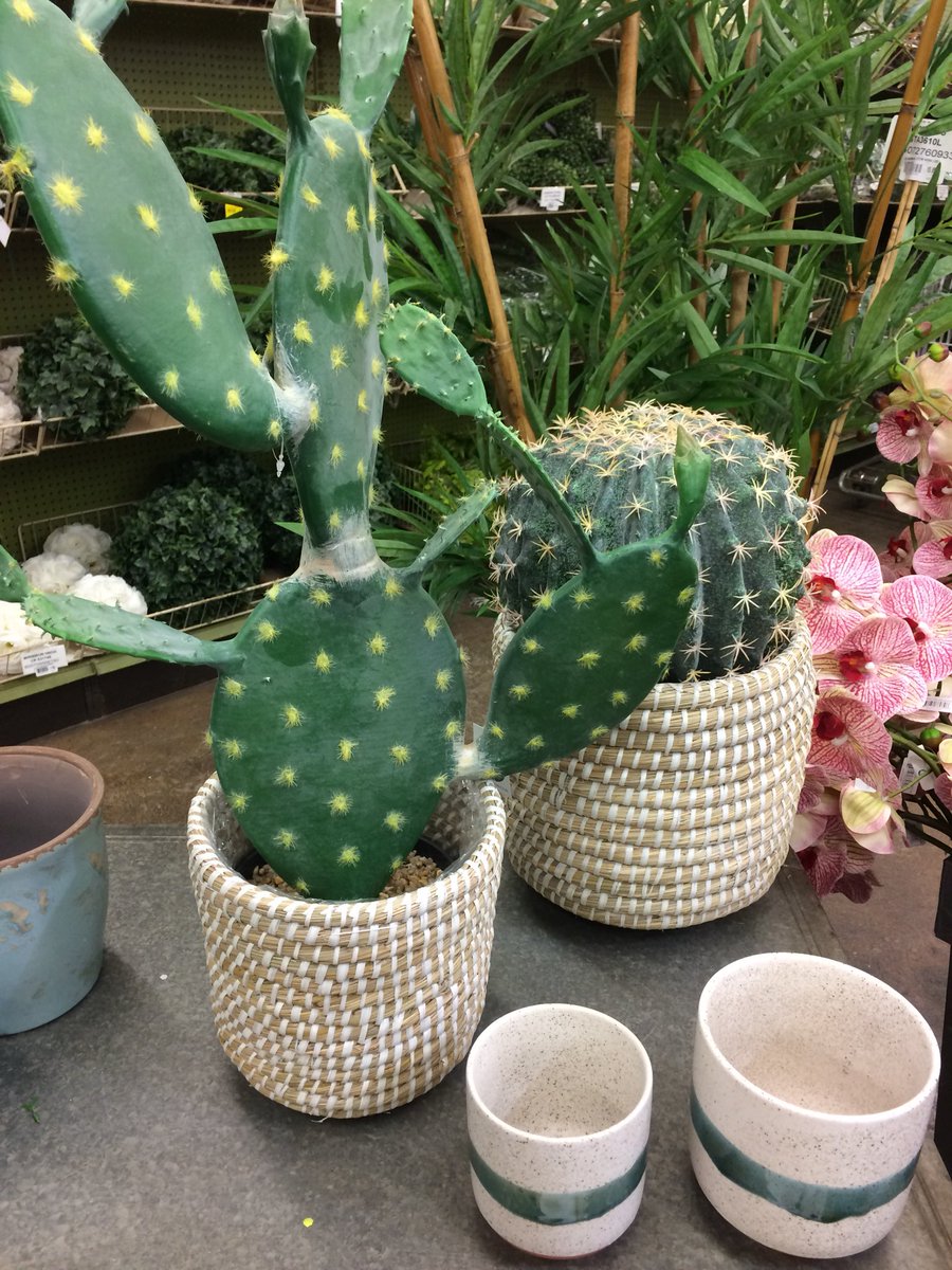 Kennicott Brothers on Twitter "Faux cacti in spunrope containers. 