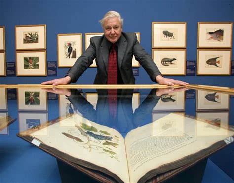 51. David Attenborough has excellent eyesight, and can read books from very far away. #AttenboroughDay #Attenbirthday