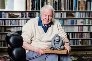 55. David Attenborough was even given an award by Gorillas for being so great.Well done, David Attenborough! #AttenboroughDay #Attenbirthday