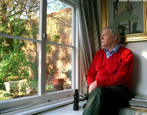 56. David Attenborough may have been on many adventures, but sometimes he likes to just have a nice sit down and stare out the window.  #AttenboroughDay #Attenbirthday