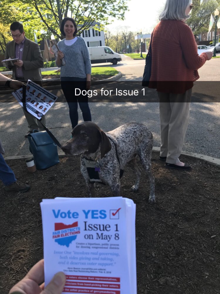 Heather TM (@heathertayl) on Twitter photo Loving the Dogs and Kids coming out with Voters! #YesonIssue1 #govote #primaryday <a href="/OhFairDistricts/">FairDistrictsOhio</a> <a href="/OhioEnviro/">Ohio Environmental Council</a> Loving the Dogs and Kids coming out with Voters! #YesonIssue1 #govote #primaryday <a href="/OhFairDistricts/">FairDistrictsOhio</a> <a href="/OhioEnviro/">Ohio Environmental Council</a>