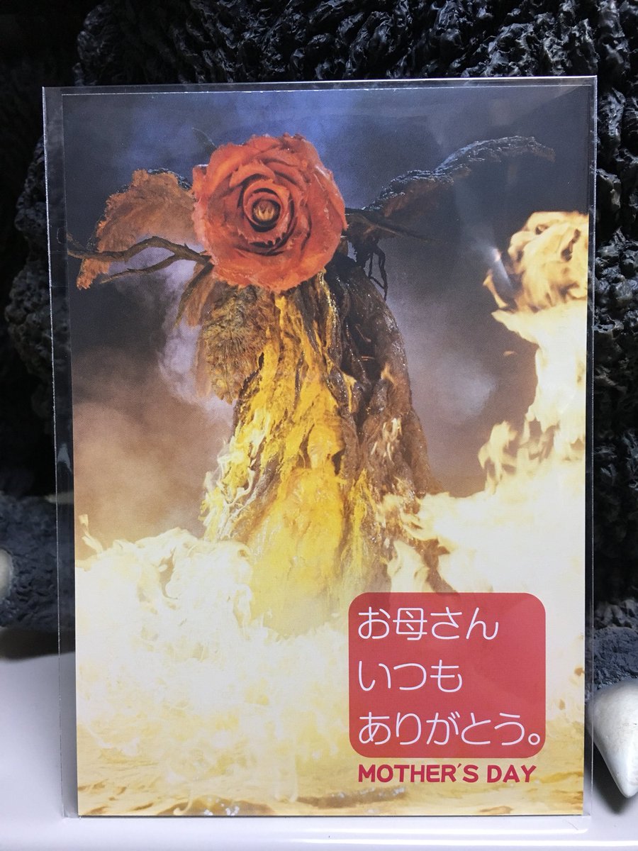 ゴジラ ストアで母の日のグリーティングカードが売られていたけどだいぶ違う気がする その花の性質を考えると 父の日用では Togetter